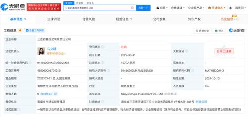 雷軍持股三亞初嘉投資公司注銷 聚焦自有資金管理